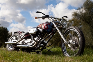 Harley-Davidson SHOW BIKE